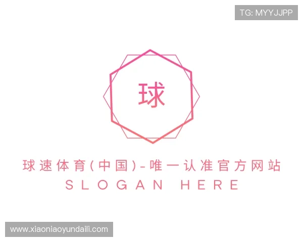 解读球速官网
